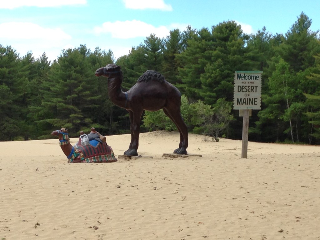 Dude!  Help your camel friend!  Don't you see the quicksand?!