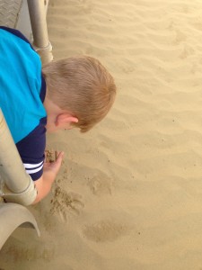 Please keep your arms and heads inside the car at all time...