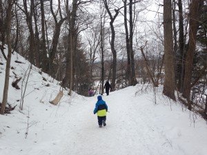 Path to the Donahue Sea Caves