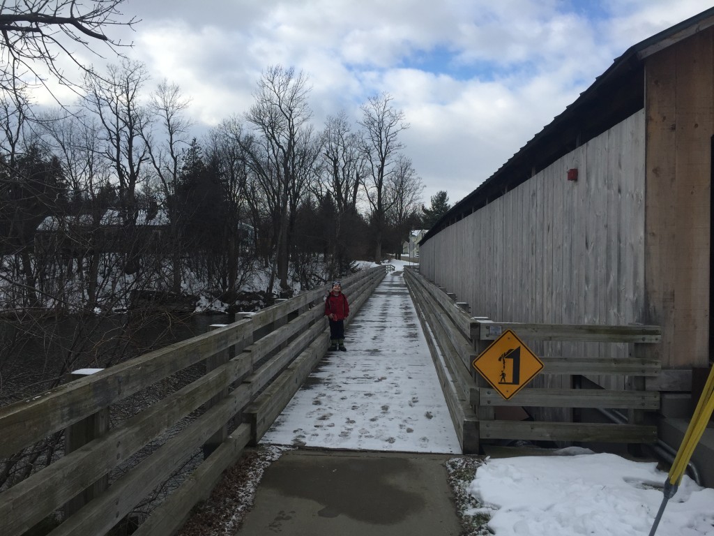 Pulp Mill Bridge Pedestrian Walkway