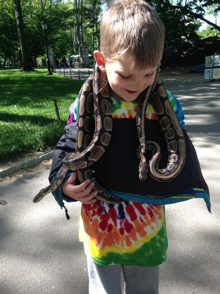 Edward and the snakes