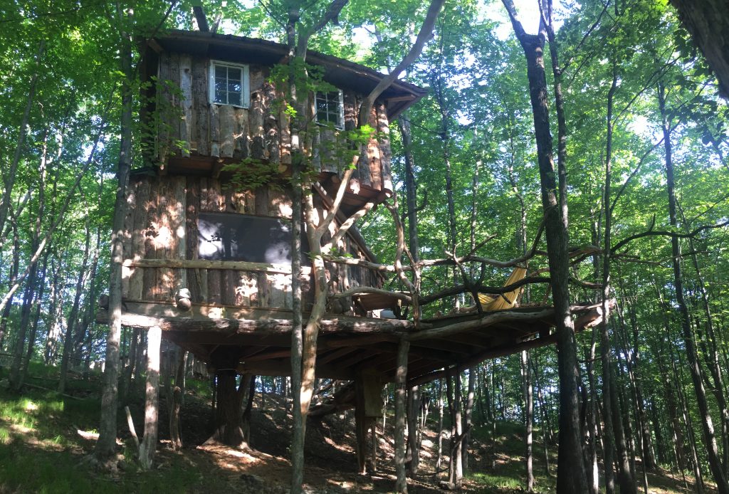 Back of Treehouse