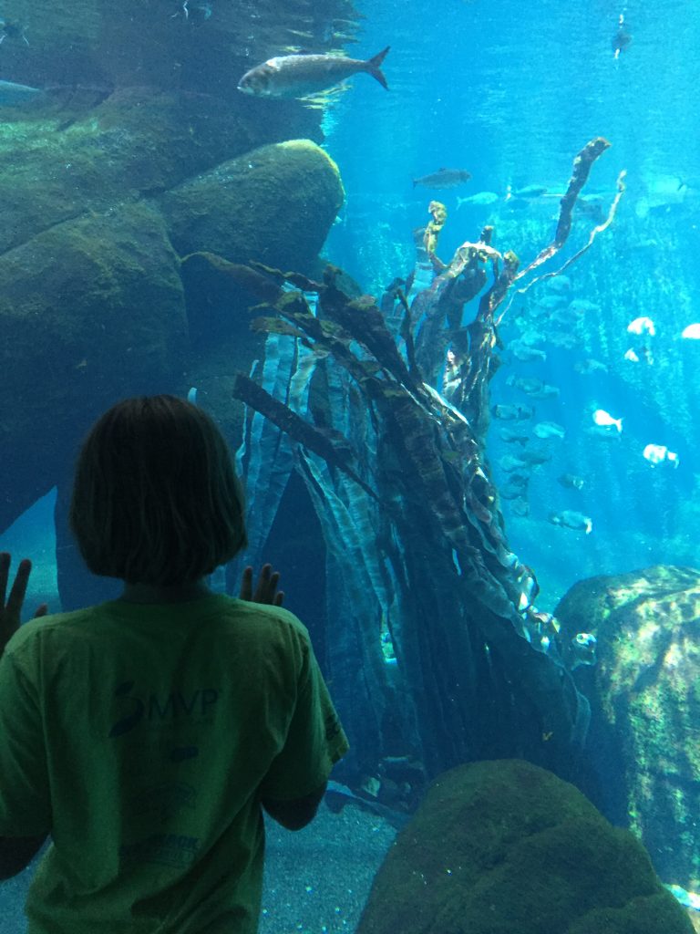 She is Ofishially digging it! #dadjoke