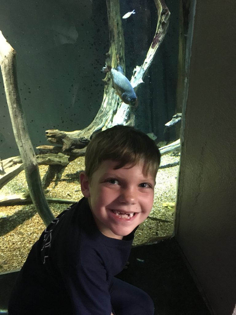 Edward and a piranha